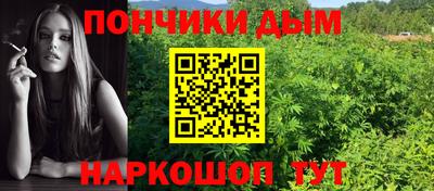 МДПВ Обь