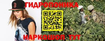 a pvp Обнинск