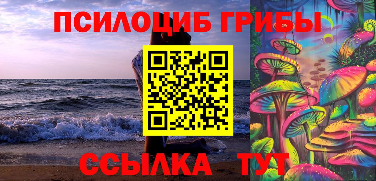 Галлюциногенные грибы Psilocybine cubensis Сергиев Посад